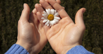 Terapia depresji w nurcie poznawczo-behawioralnym