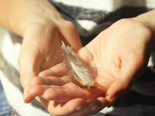 Wysoka wrażliwość – jak wspierać i rozwijać osoby hipersensytywne