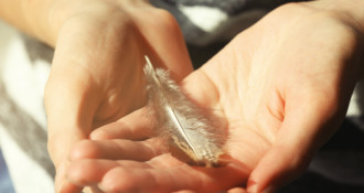 Wysoka wrażliwość – jak wspierać i rozwijać osoby hipersensytywne